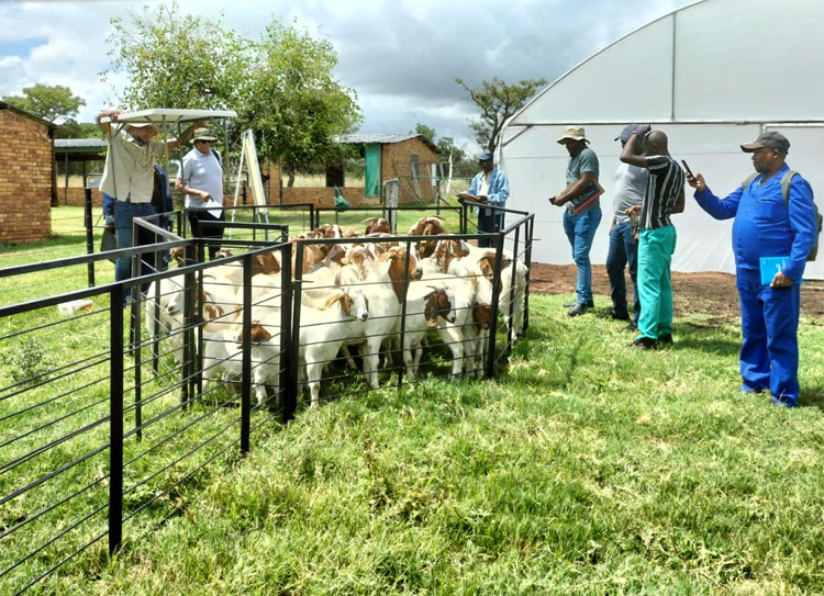 Civic Responsibility