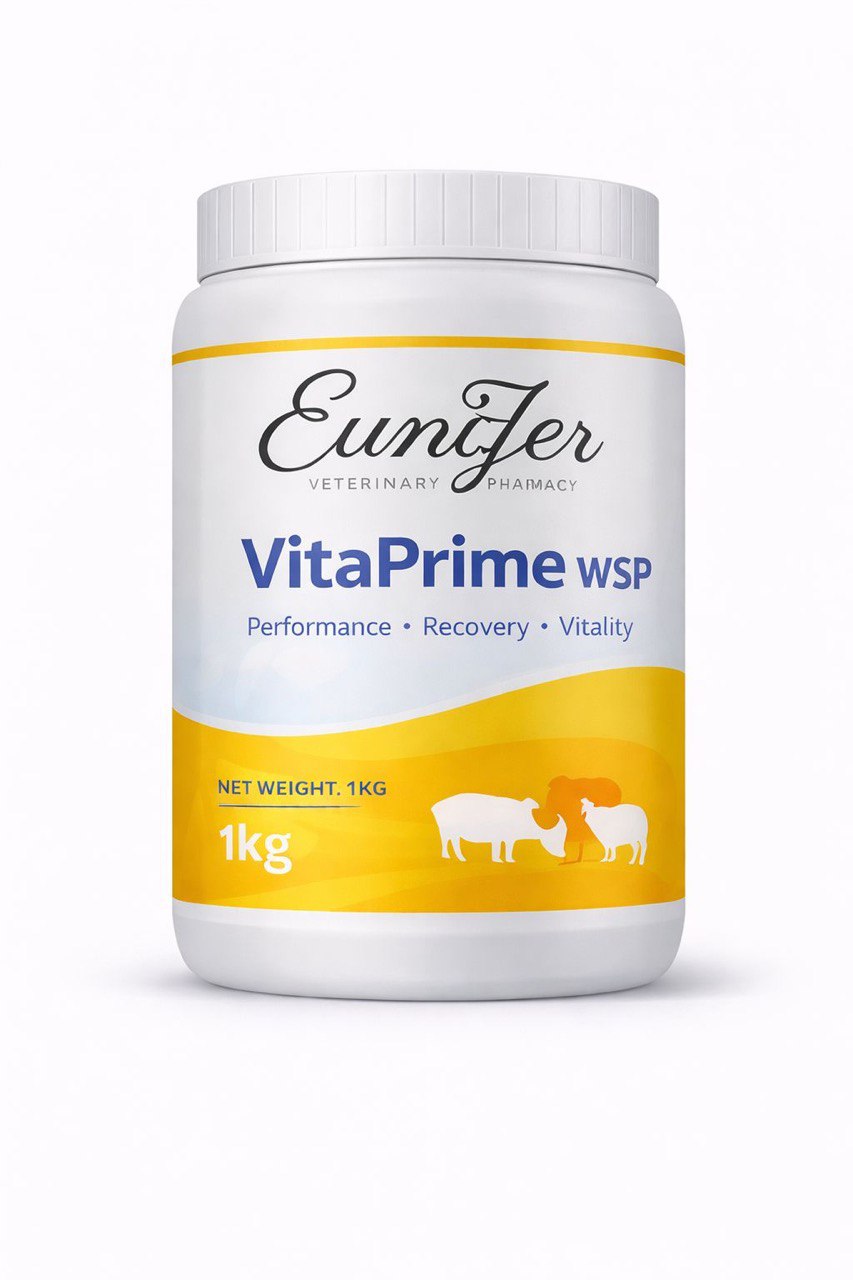 Eunizer VitaPrime WSP (Multivitamin Soluble Powder)